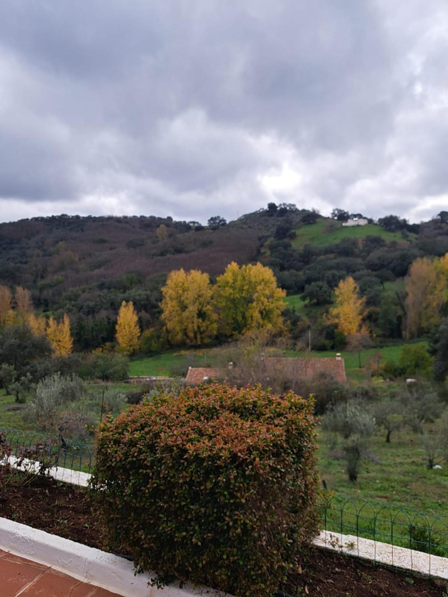 Casa Rural Villa Manuela Cazalla de la Sierra Exterior photo